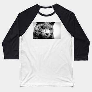 Portrait of a cat Baseball T-Shirt